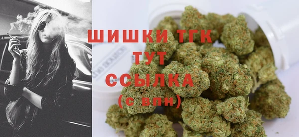 СК Мегион